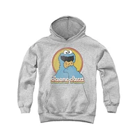 Sesame Street Boys Youth Cookie Monster Layers Pull Over Hoodie