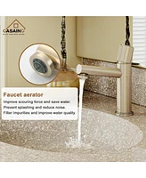 Casainc Bathroom Vessel Sink Faucet with Pop-Up Drain in Spot-Resistant