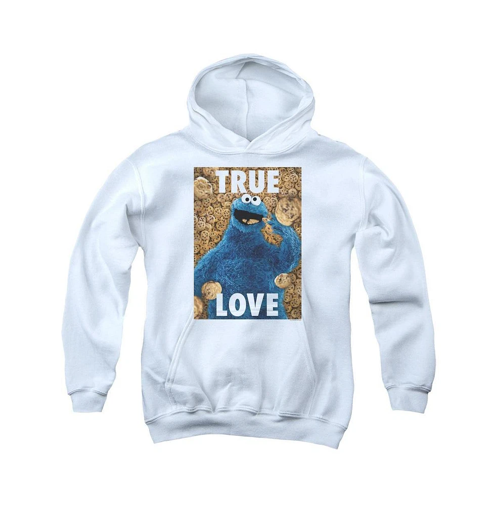 Sesame Street Boys Youth Beautiful Cookies Pull Over Hoodie