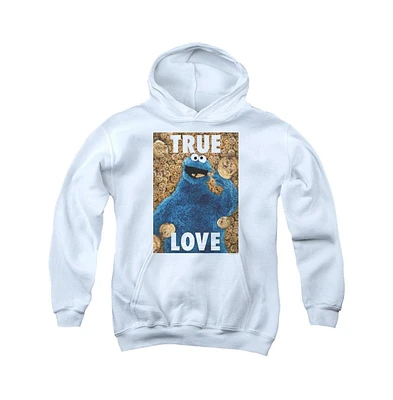 Sesame Street Boys Youth Beautiful Cookies Pull Over Hoodie