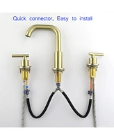 Casainc Widespread 2 Handle Mid-Arc Bathroom Faucet