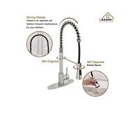Casainc Spring Standard Kitchen Faucet with Dual-Function Spray Head and Deck Plate