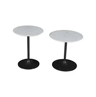 Jofran Camille Solid Marble and Iron Modern Luxury Accent Tables (Set of 2)