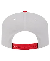 New Era Men's Stone San Francisco 49ers Decent 9FIFTY A-Frame Snapback Hat