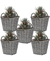 Sunnydaze Decor 5-Piece Wicker Planter Basket Set with Handles - Plastic Lined Containers - For Indoor Use Only