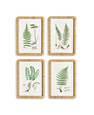 Forest Fern Prints, Set Of 4