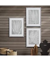 Napa Home & Garden Fern Frond Prints, Set Of 3