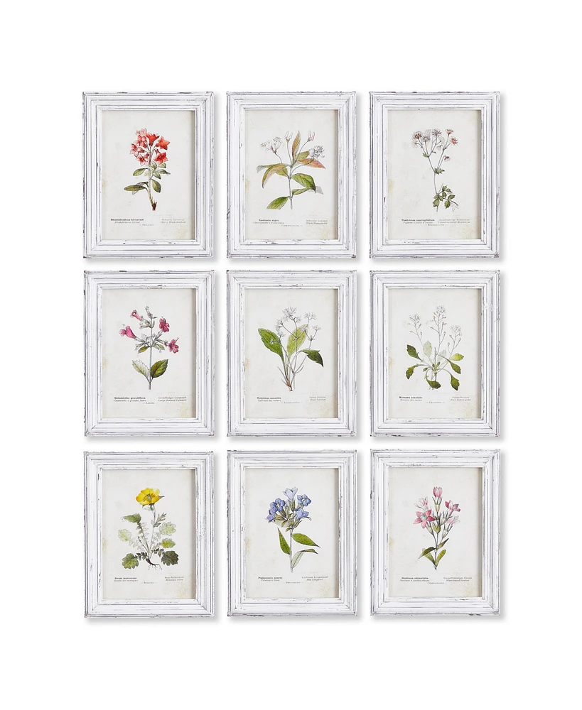 Napa Home & Garden Garden Meadow Study, Set Of 9