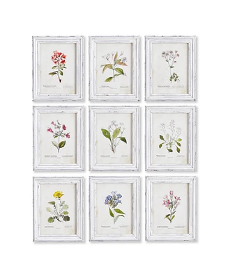 Napa Home & Garden Garden Meadow Study, Set Of 9