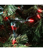 Electric Plug-In 70ct Led Indoor/Outdoor String Lights Smooth M6 - 23'