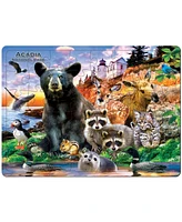 Masterpieces Acadia National Park 48 Piece Tray Puzzle