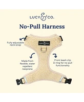 Lucy & Co. The Cider Teddy No-Pull Harness