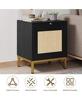 gaomon Rattan End Table, Wood Nightstand with Tray for Living Room, Bedroom Side Table with Storage Shelf for Entryway