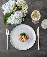 Fortessa Arezzo 5pc Place Setting