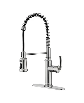 Kitchen Faucet with Pull Down Sprayer, 360°Rotation Spout and 3-Function Nozzle for Use Various Styles