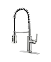 Kitchen Faucet with Pull Down Sprayer, 360°Rotation Spout and 3-Function Nozzle for Use Various Styles