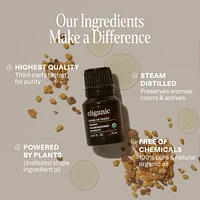 Organic Frankincense Essential Oil