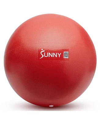 Sunny Health & Fitness Premium 9" Mini Exercise Ball, Extra Thick Anti-Burst Pvc for Core, Yoga, Pilates, Barre, Physical Therapy, Balance, Flexibilit