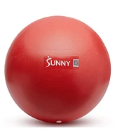 Sunny Health & Fitness Premium 9" Mini Exercise Ball, Extra Thick Anti-Burst Pvc for Core, Yoga, Pilates, Barre, Physical Therapy, Balance, Flexibilit