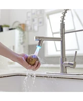 Single Handle Deck Mount Pull Down Sprayer Kitchen Faucet with Led Light and Plate Matte Black