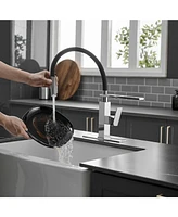 Single-Handle Pull-Down Sprayer 1 Spray High Arc Kitchen Faucet