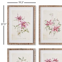 Pink Clematis Prints Set of 4