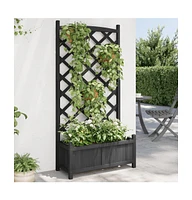 Planter with Trellis Black Solid Wood Fir