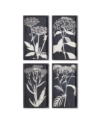 Monochrome Queen Anne's Lace Prints, Set Of 4