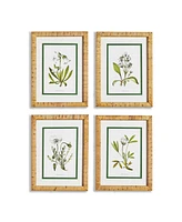 White Floral Study, Set Of 4