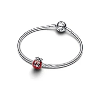 Pandora Sterling Silver Lucky Bag Charms