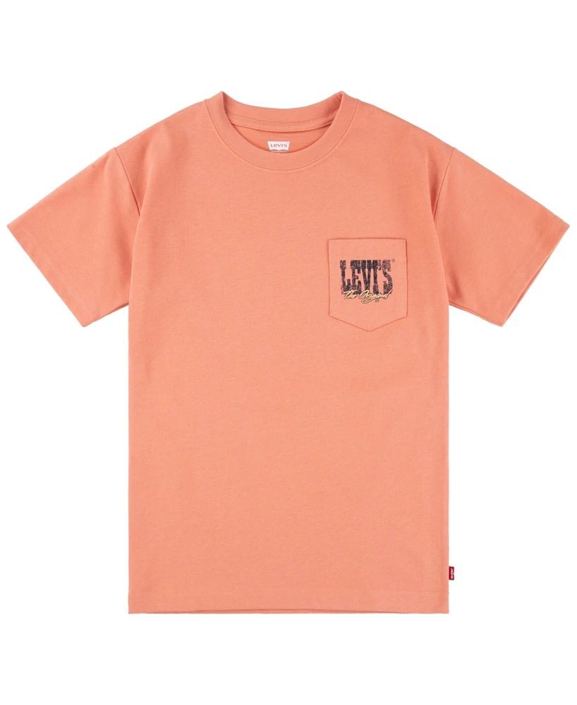 Levi's Toddler & Little Boys Canyon Landscape T-Shirt