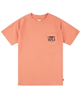 Levi's Toddler & Little Boys Canyon Landscape T-Shirt