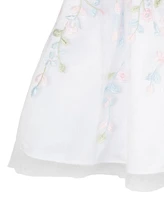 Rare Editions Baby Girls Floral Embroidered Mesh Social Dress