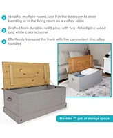 9.5-Inch W Solid Pine Storage Chest - Zinc Alloy Handles and Hinges - 47-Gallon Storage Capacity - Gray