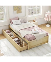 Captain Bed with 2 Drawers and Slats Support