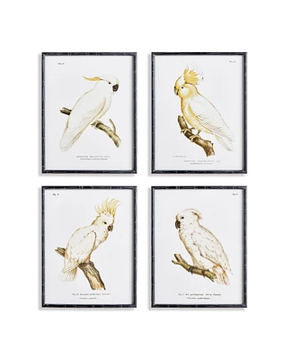 21.5"W x 1.25"D x 27.5"H Parrot Study In White Framed Wall Art Set of 4