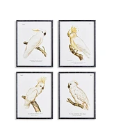 21.5"W x 1.25"D x 27.5"H Parrot Study In White Framed Wall Art Set of 4