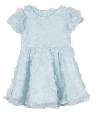 Rare Editions Baby Girls 3D Flower Chiffon Social Dress