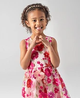Rare Editions Toddler and Little Girls 3D Floral Embroidered Social Dress