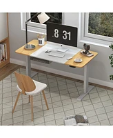 Electric Adjustable Sit-to-Stand Desk with Usb Port Ergonomic and Convenient Desk for Home Office