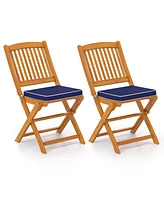 Outdoor Folding Chairs with Seat Cushions for Comfortable Patio Seating (Set of 2)
