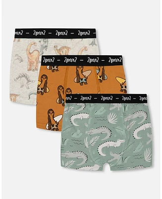 Boy Printed Cotton Boxer Shorts (Pack Of 3) Multicolored