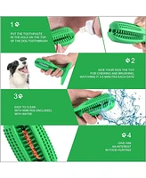 Furry Fido Dog Toothbrush Chew Toy