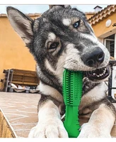 Furry Fido Gog Toothbrush Chew Toy