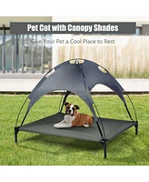 Portable Elevated Outdoor Pet Bed with Removable Canopy Shade