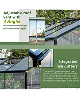 Walk-In Greenhouse: 6x8 Ft Outdoor Polycarbonate with Roof Vent