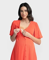 Seraphine Women's Maternity and Nursing Dress