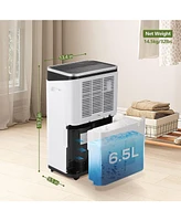 Kismile 45Pints/Day Dehumidifier for Home, Basement & Garage, Low Noise, 6500ML Water Tank, Auto Drain Hose, Intelligent Humidity Control