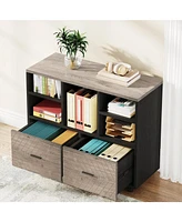Tribesigns 2-Drawer Wood File Cabinet, Mobile Lateral Filing Cabinet for Hanging Letter Size Files, Printer Stand with Open Storage Shelves for Home O