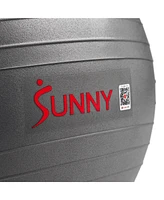 Sunny Health & Fitness Premium Yoga Ball Large 65CM Anti-Burst Exercise Ball for Workouts, Pregnancy, Physical Therapy, Stability Ball Chair Fitness,